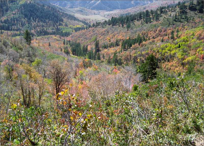 Headed down the valley