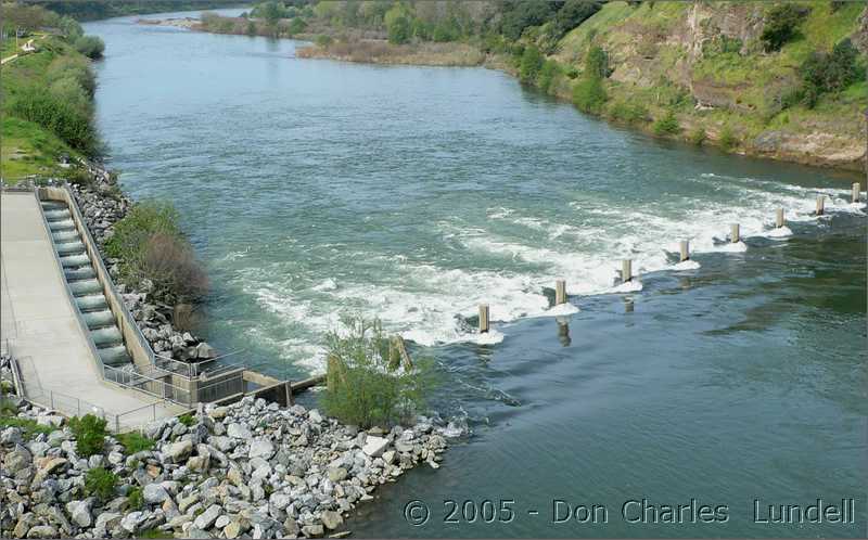 Fish hatchery