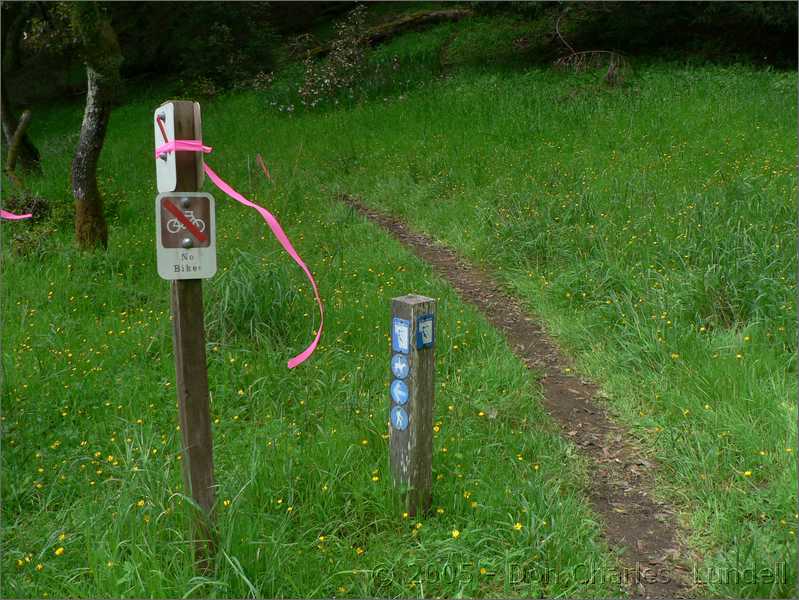 Trail markers