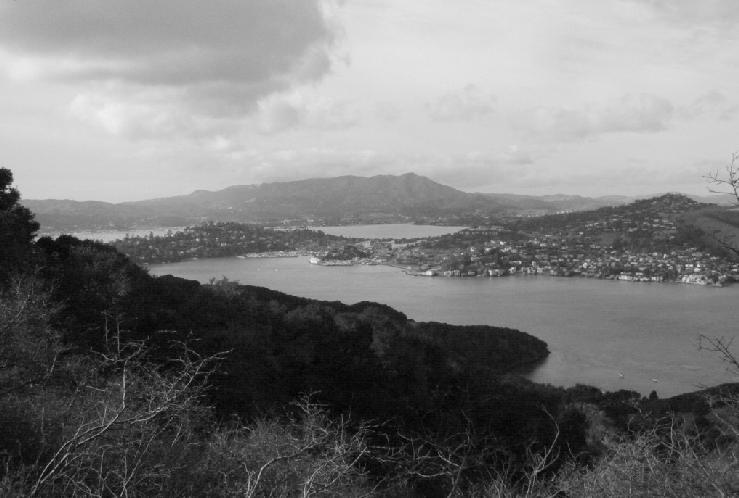 Tiburon & Mt. Tam