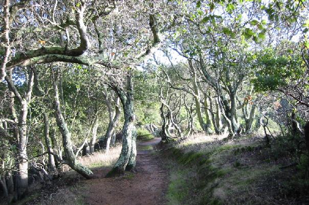 North Ridge Trail