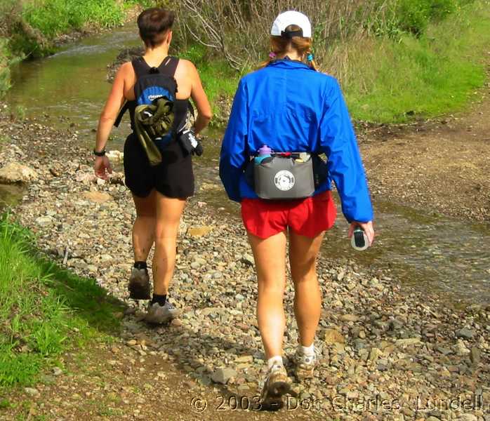 Stream crossing