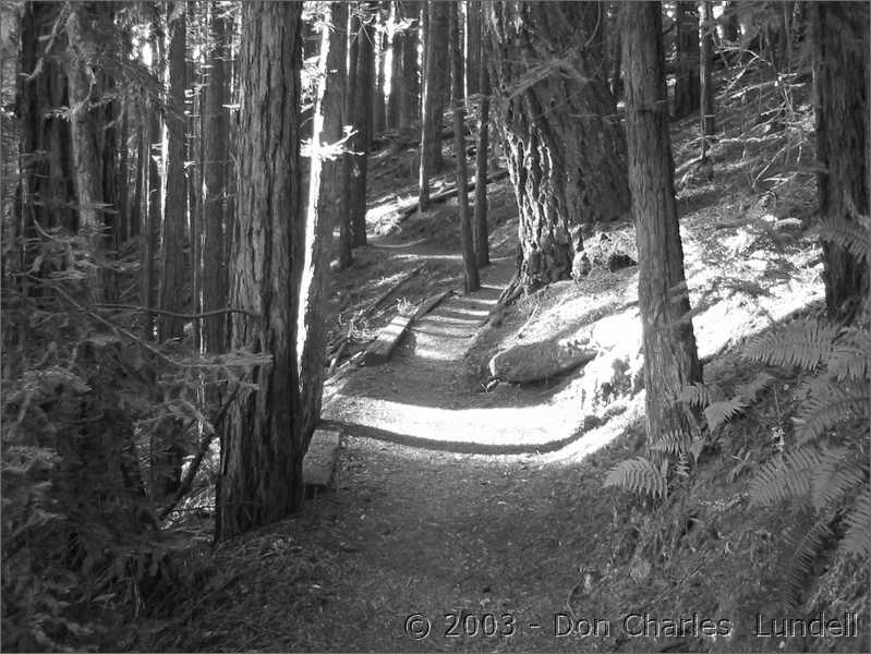 Descending to Steep Ravine