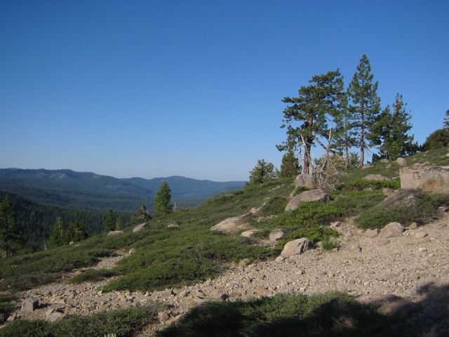 Heading into the Granite Chief Wilderness