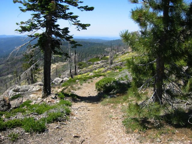 Prettiest trail on the course