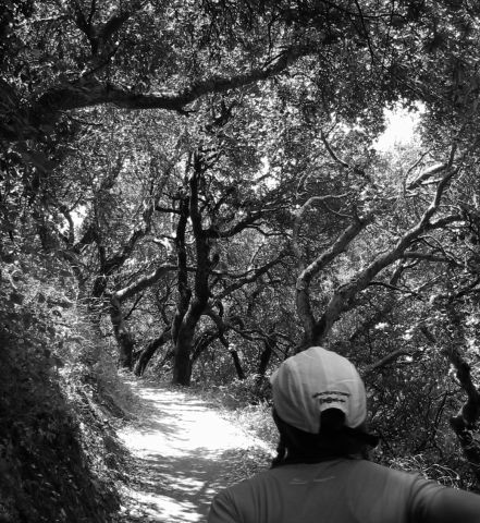 Gillian climbing a hill