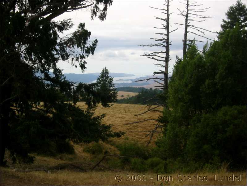 Tomales Bay in the distance