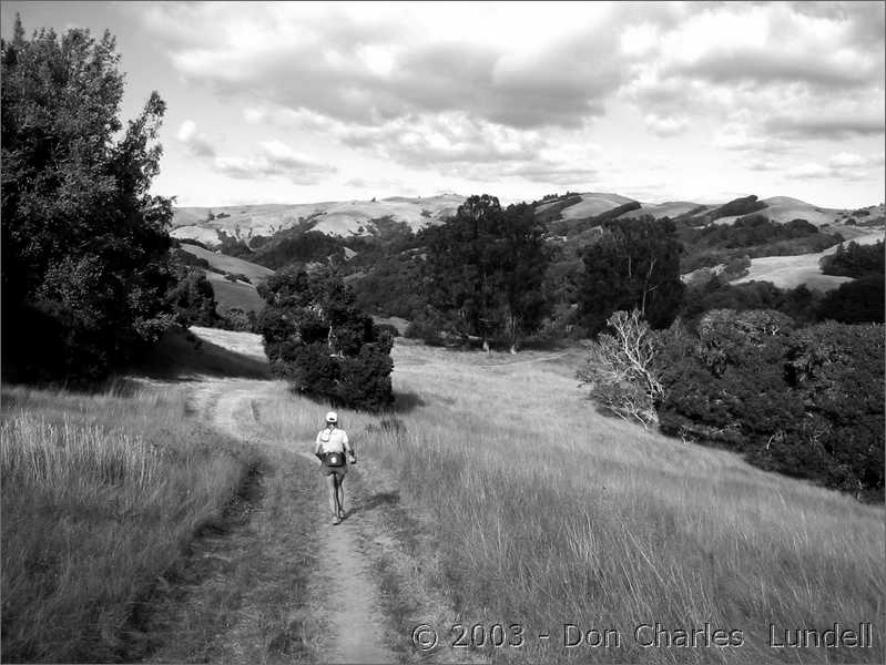 Nearing Samuel P. Taylor State Park