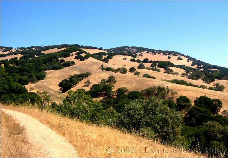 Mt. Burdell