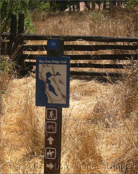 Bay Area Ridge Trail this way