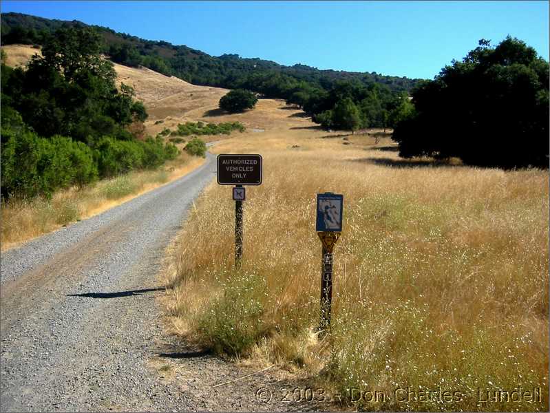 The beginning of the climb to the top of Bald Mountain (aka the climb from hell)