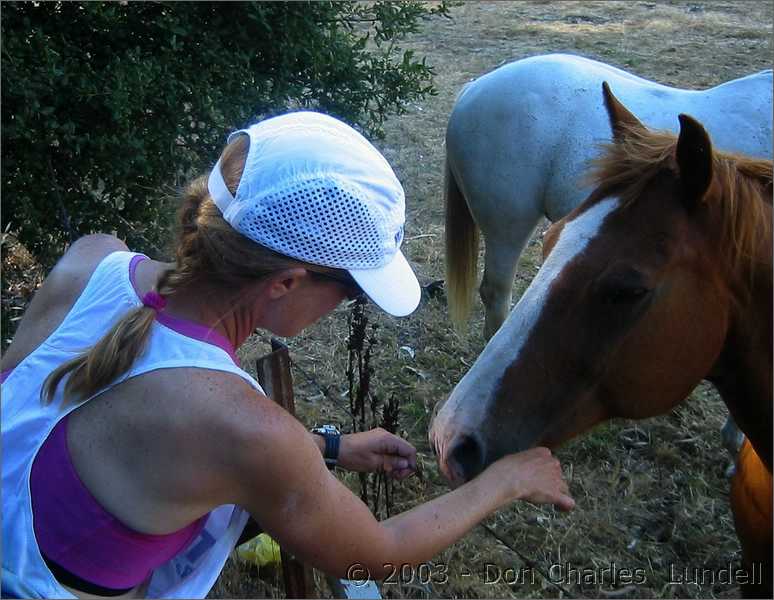 Visiting the horses