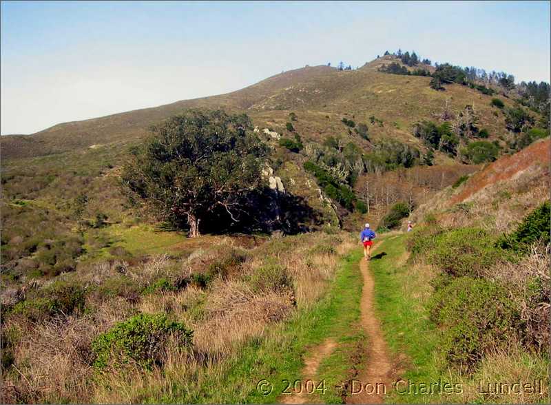 Continuing up the Coastal Trail