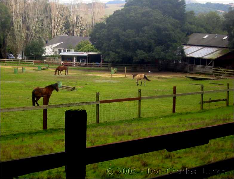 Horse Farm