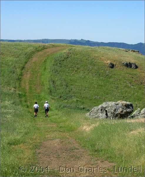 Grassy Trail