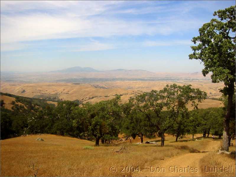 Mt. Diablo in the distance