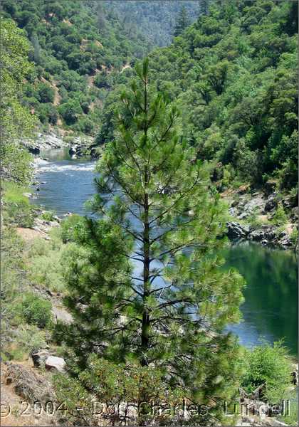 Looking up the river