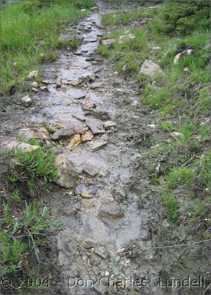 Muddy trail