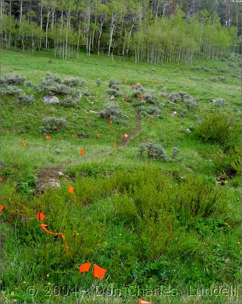 A well marked trail