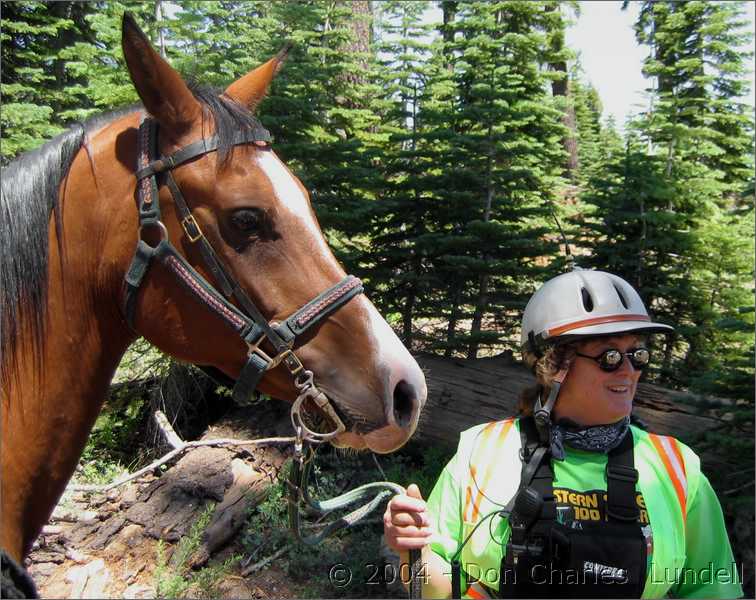 Horse patrol