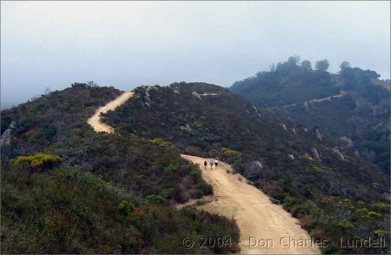 Wall Point Trail