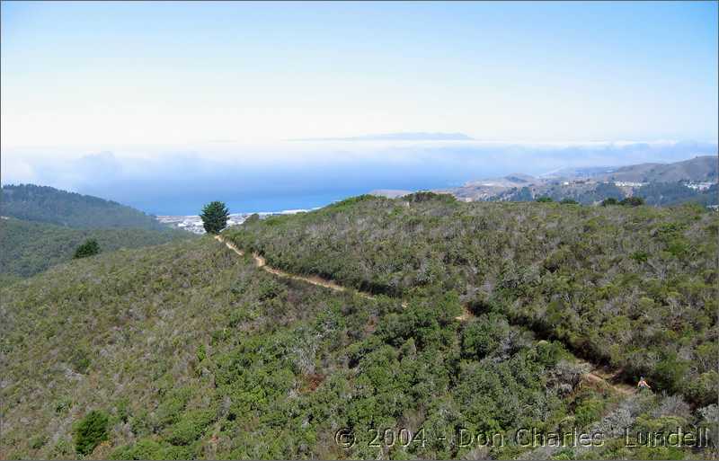 Ocean view trail