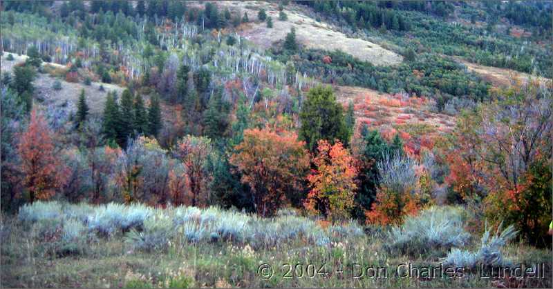 Autumn in the high country