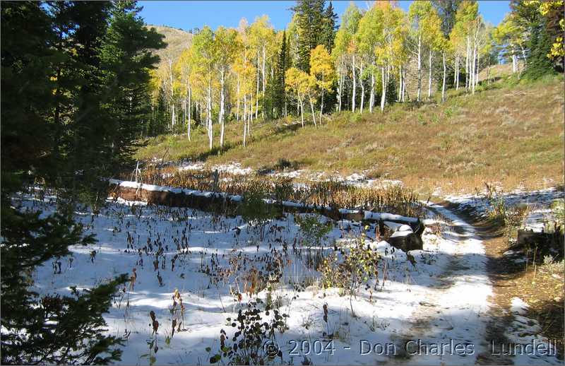 It snowed this week