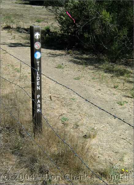 Tilden Park