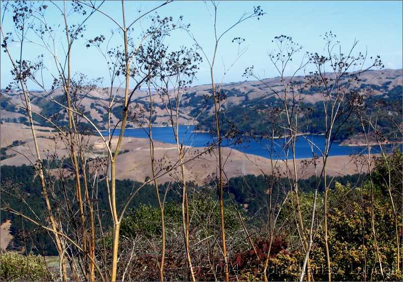 San Pablo Reservoir