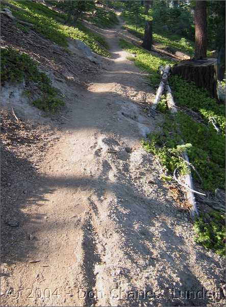 Sandy trail