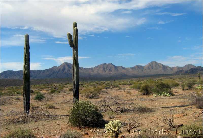 Desert watchtowers