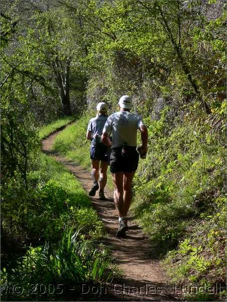 Soda Gulch Trail