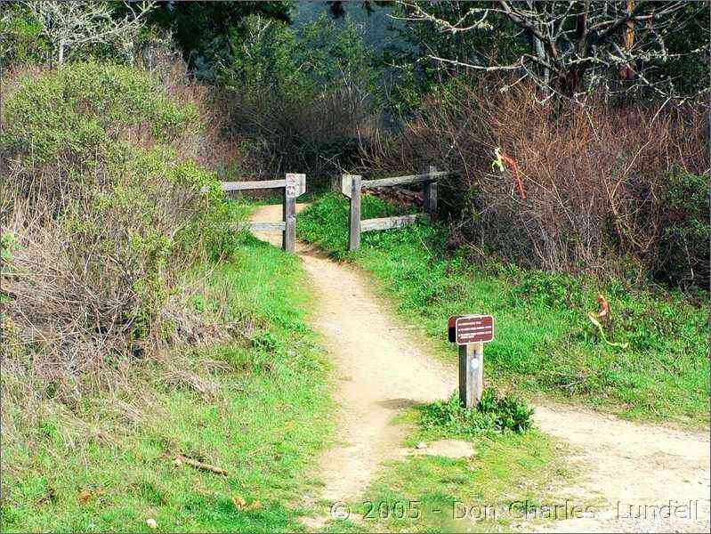 Headed back to Soda Gulch