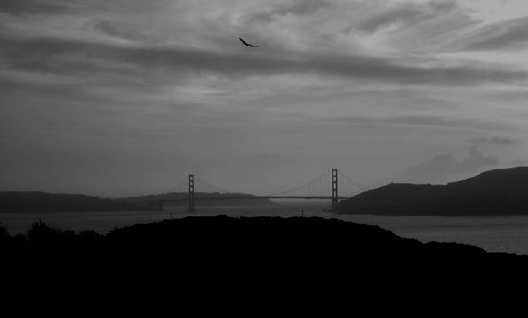 Soaring Over the Golden Gate (view 2)