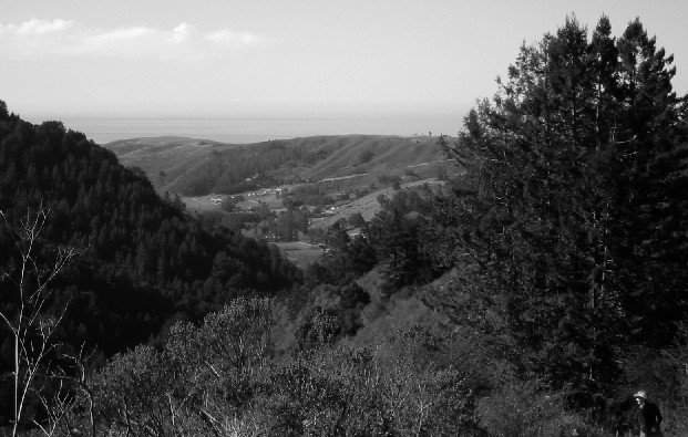 Purisima Canyon (and Gillian too)