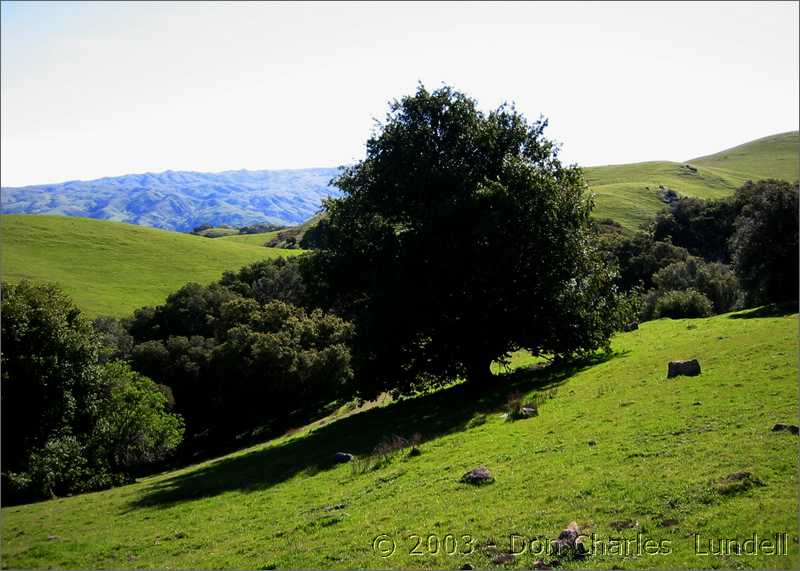 Far side of Mission Peak