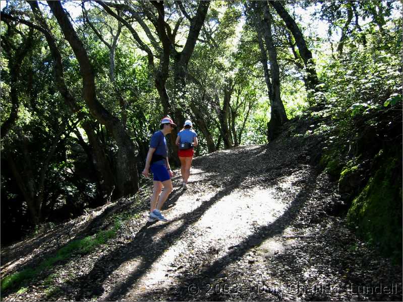 Ascending to Sunol