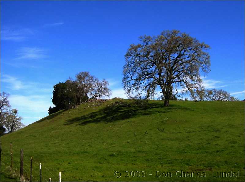 Near Sunol