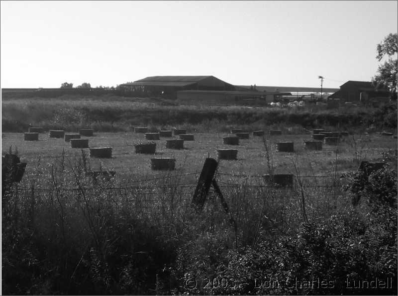 Hay bales