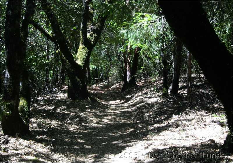 Descending the Pony Gate Trail