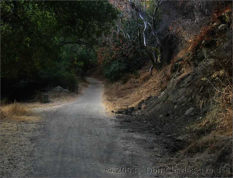 Creek Trail