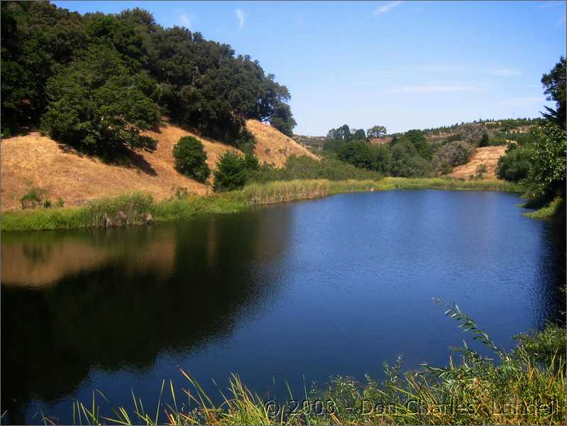 Horseshoe Lake