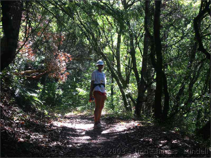 WIndy Hill Open Space