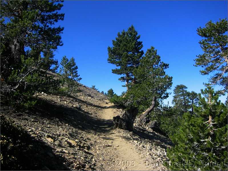 Sandy trail