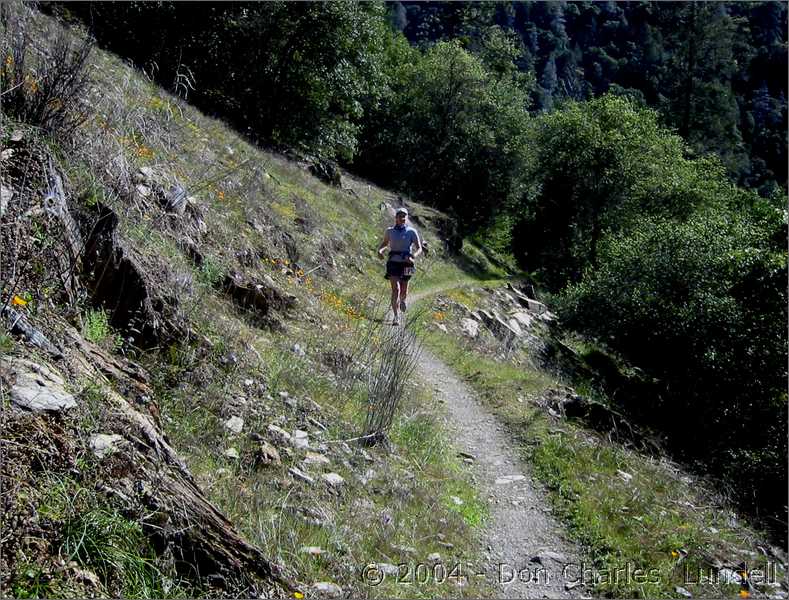 Flying down the hill