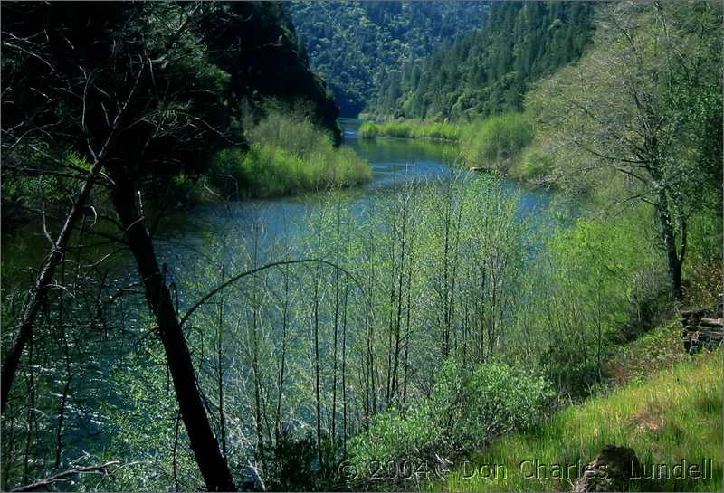 Peaceful water