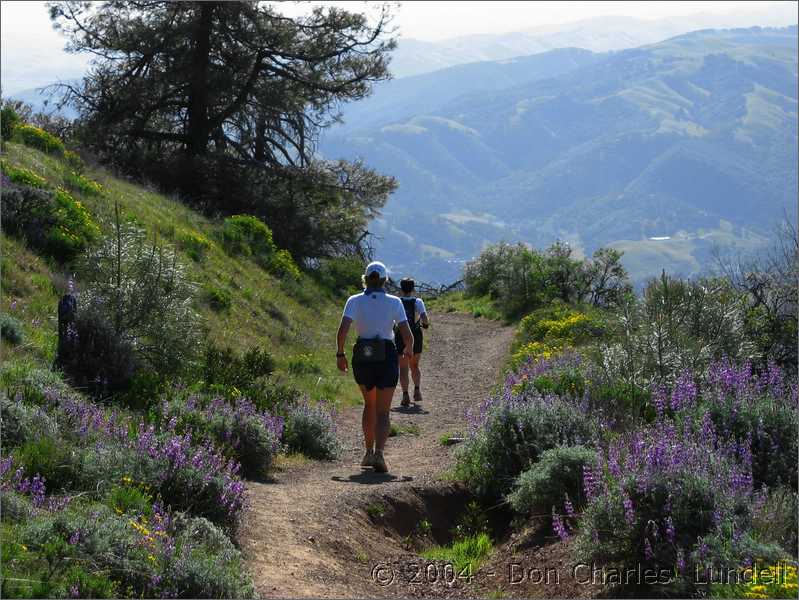 Summit Trail