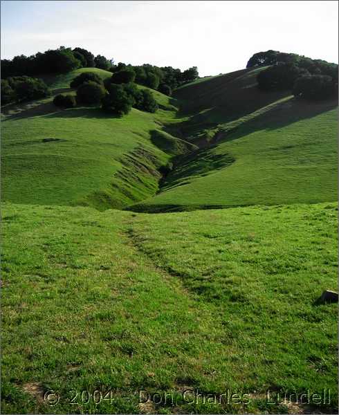 Hillside furrow