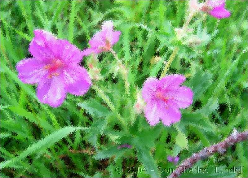 Flowers under glass